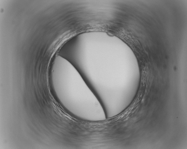X0000060280290200510281018