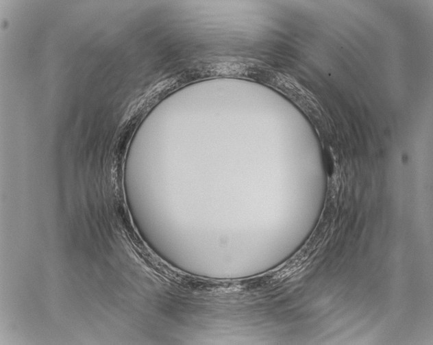 X0000060280306200510281018
