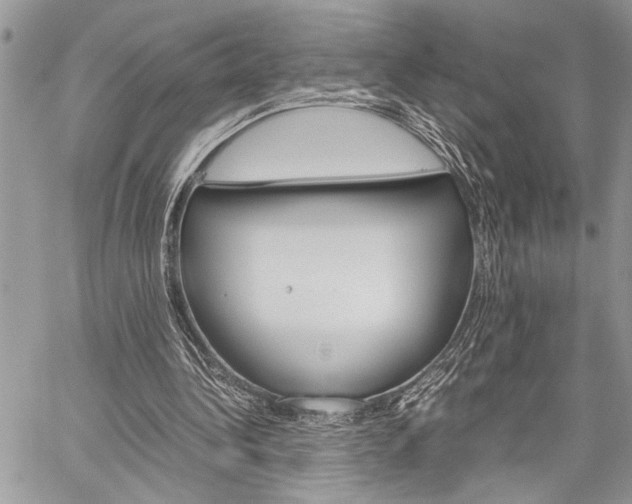 X0000060280340200510281016