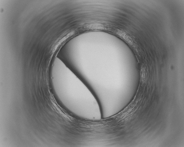 X0000060280390200510281016