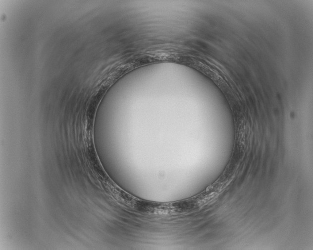 X0000060280420200510281016