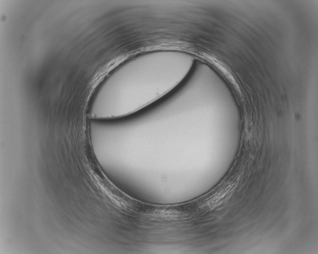 X0000060280437200510281015