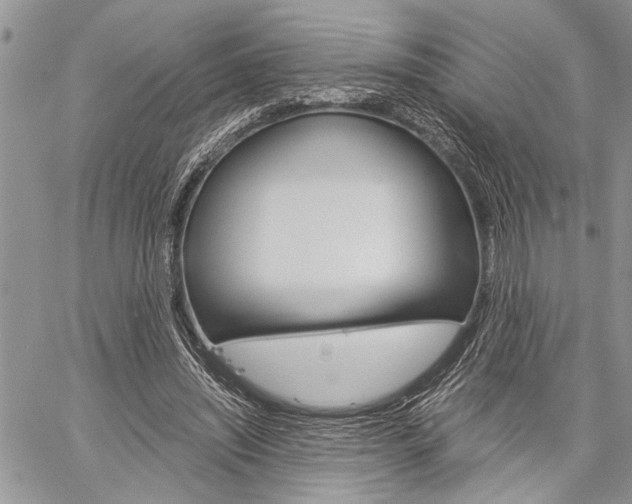 X0000060280444200510281015