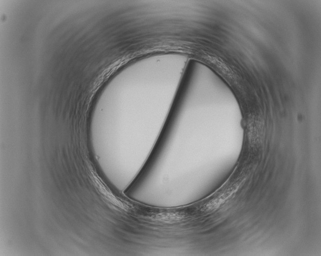 X0000060280445200510281015