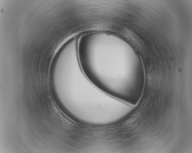 X0000060280484200510281015