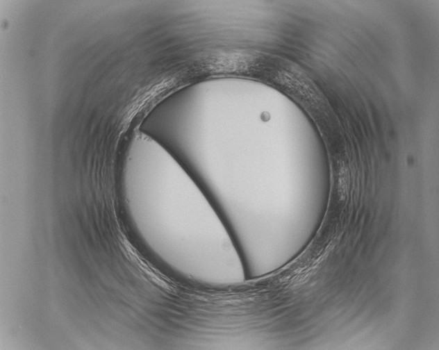 X0000060280490200510281015