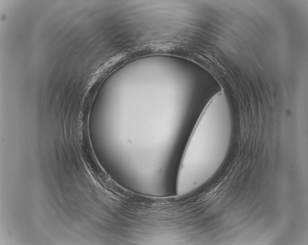 X0000060280492200510281015