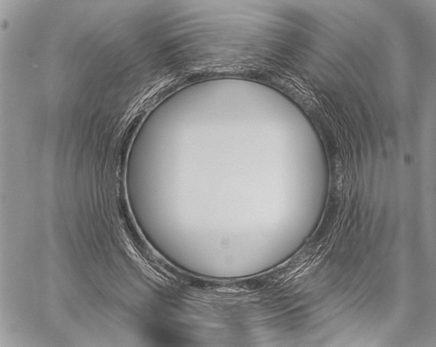 X0000060280542200510281013