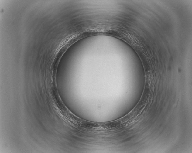 X0000060280544200510281013