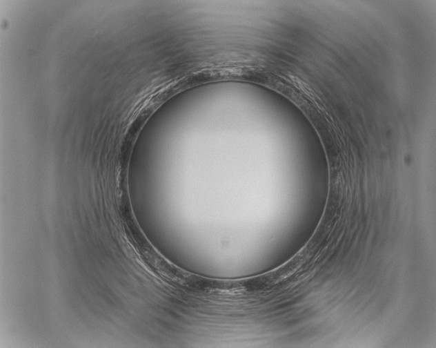 X0000060280548200510281014