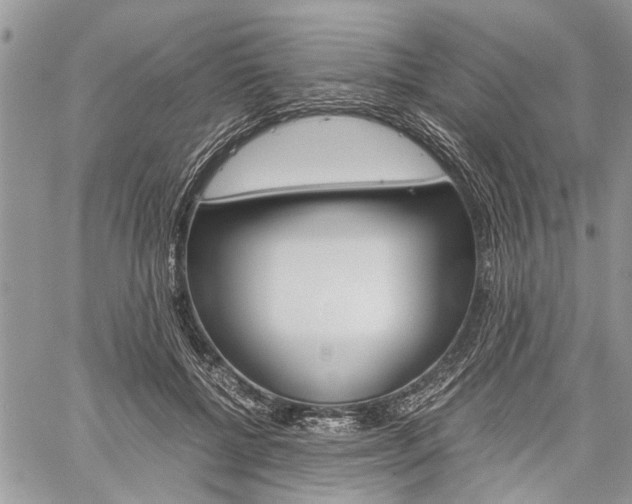 X0000060280552200510281014