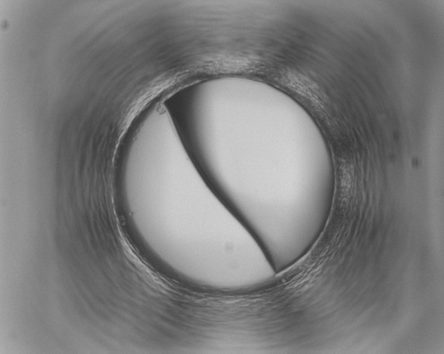 X0000060280582200510281013