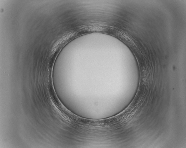X0000060280586200510281013