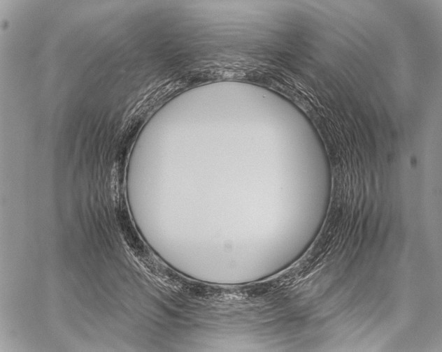 X0000060280594200510281013