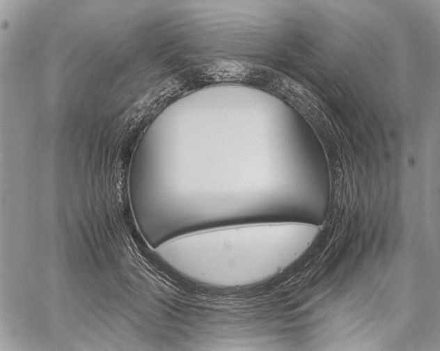 X0000060280604200510281013