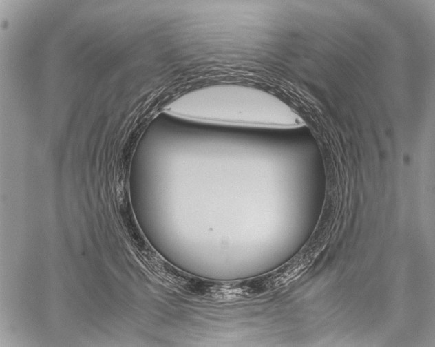 X0000060280607200510281013