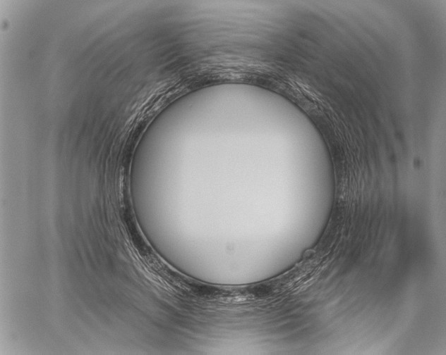 X0000060280646200510281012