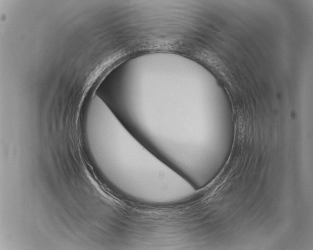 X0000060280674200510281012