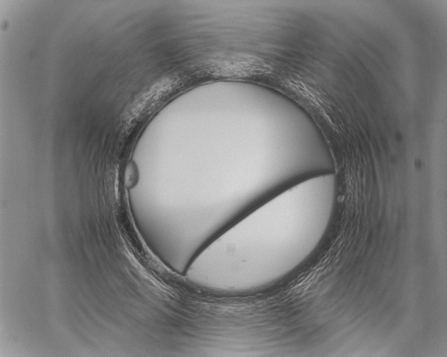 X0000060280686200510281011