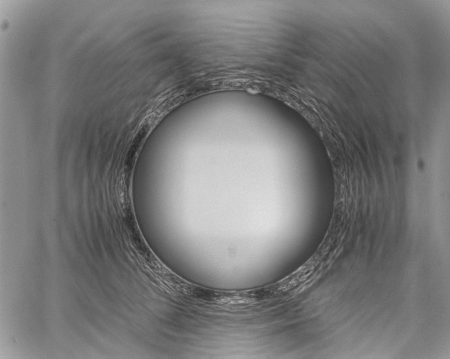 X0000060280708200510281011