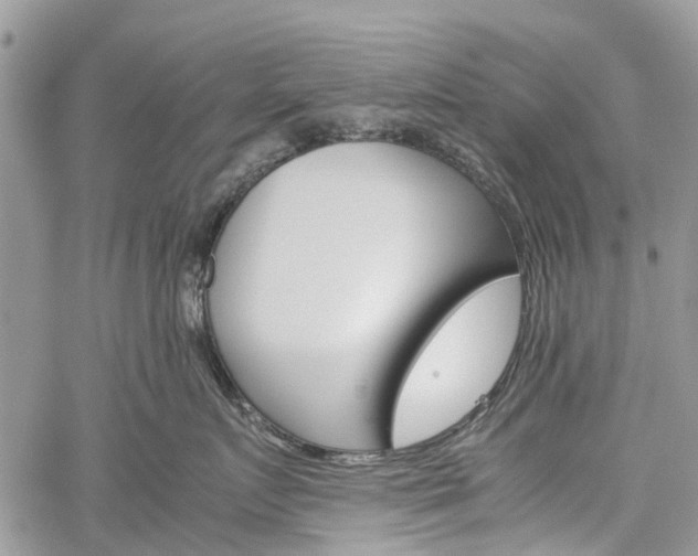 X0000060280719200510281011