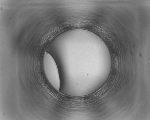 X0000060280746200510281010