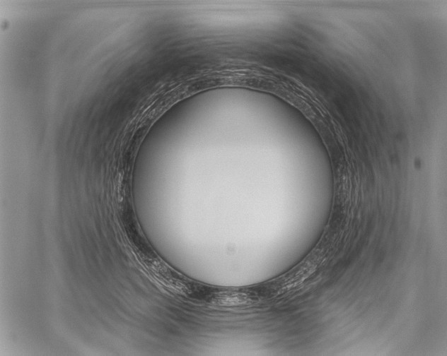 X0000060280750200510281011