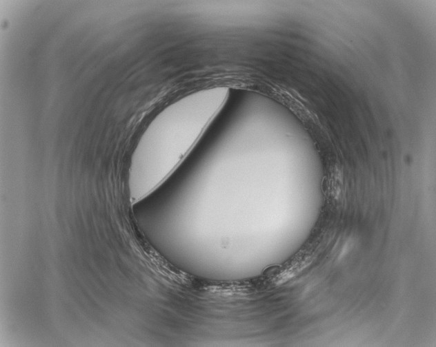 X0000060280763200510281011