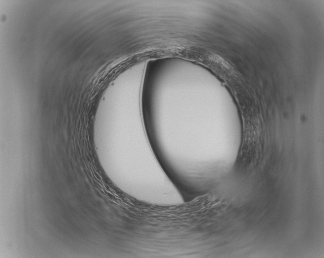 X0000060280773200510281010