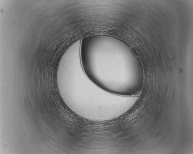 X0000060280818200510281009