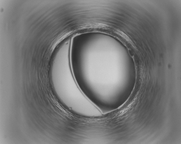 X0000060280826200510281009