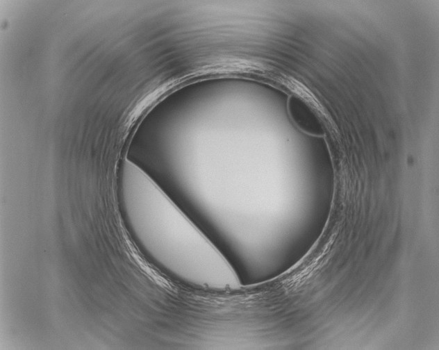 X0000060280842200510281009