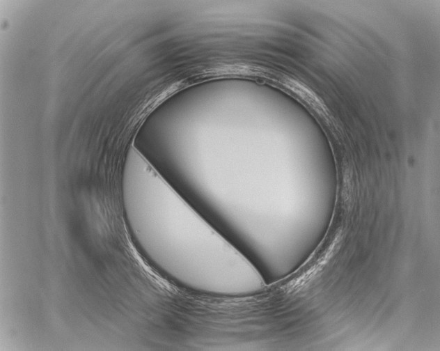 X0000060280849200510281009