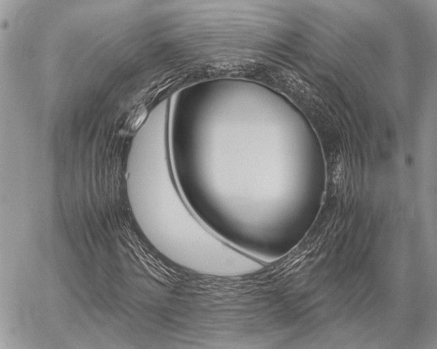 X0000060280868200510281008