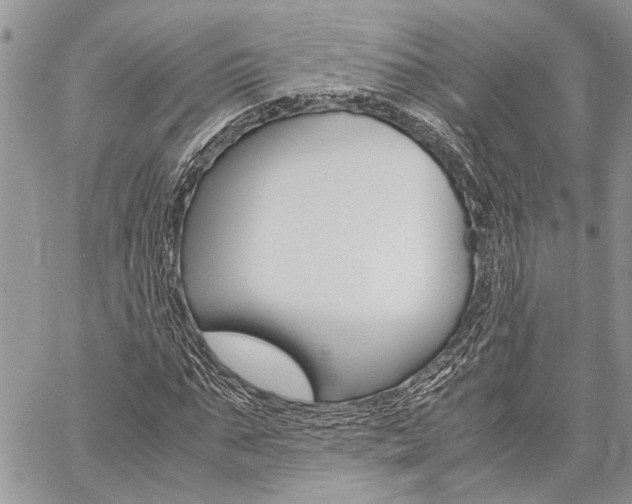 X0000060280871200510281008
