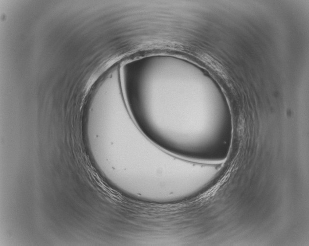 X0000060280877200510281008