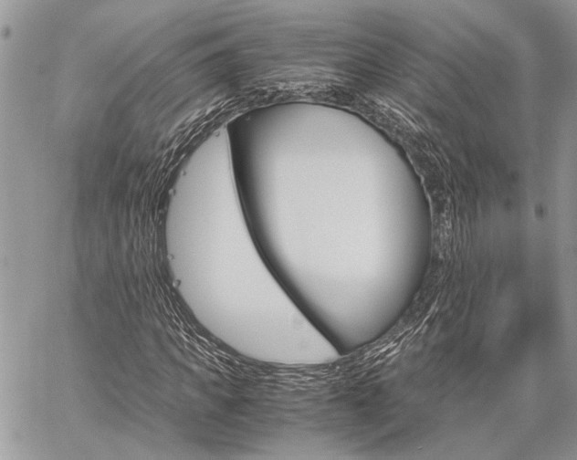X0000060280917200510281007