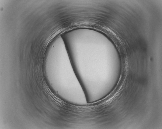 X0000060280921200510281007