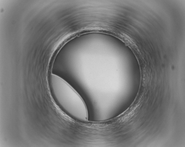 X0000060280942200510281007