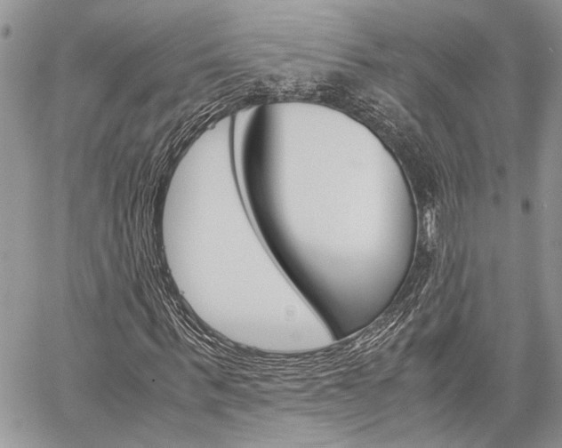 X0000060280963200510281007