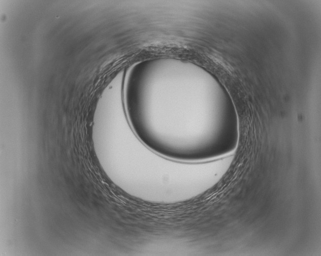 X0000060280965200510281007