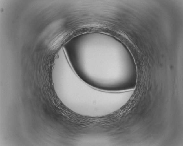 X0000060280967200510281007