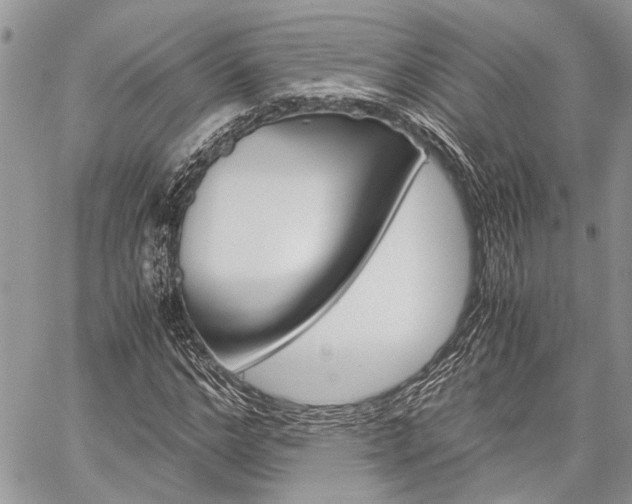 X0000060280968200510281007