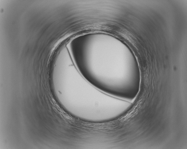 X0000060280971200510281007