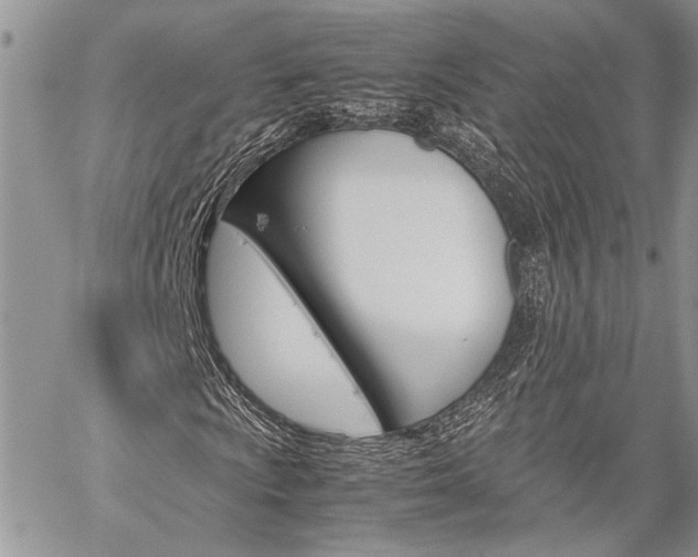 X0000060281009200510281005