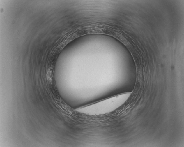X0000060281010200510281005