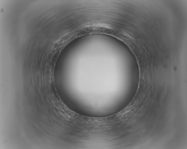 X0000060281014200510281005