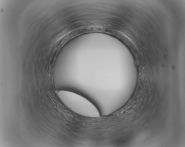 X0000060281015200510281005