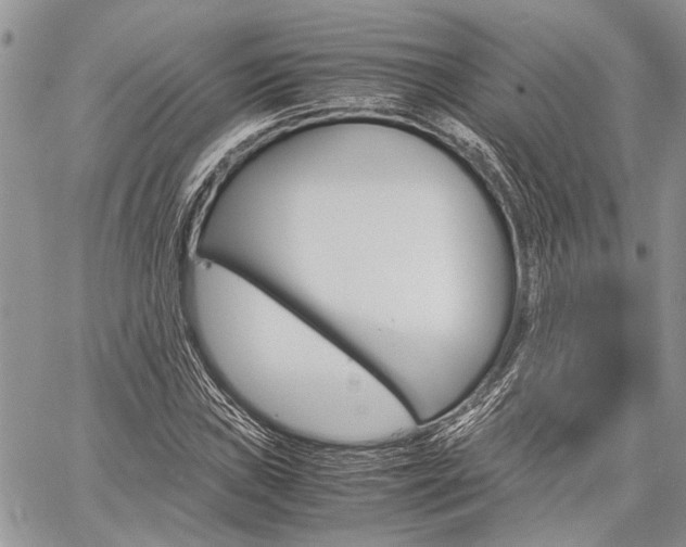 X0000060281019200510281005