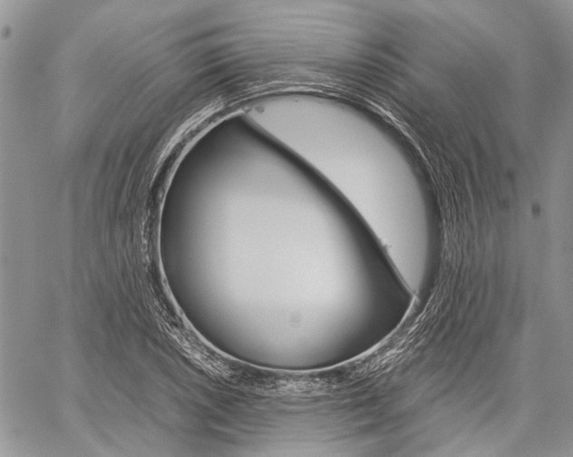 X0000060281026200510281006